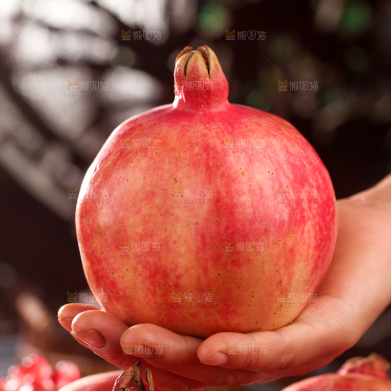 酸石榴