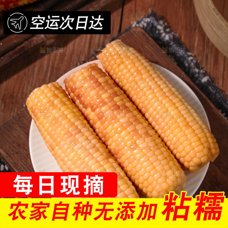 花糯玉米