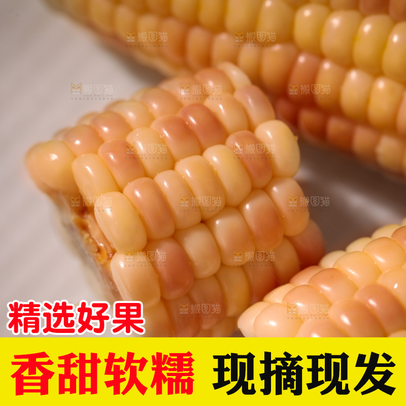 花糯玉米