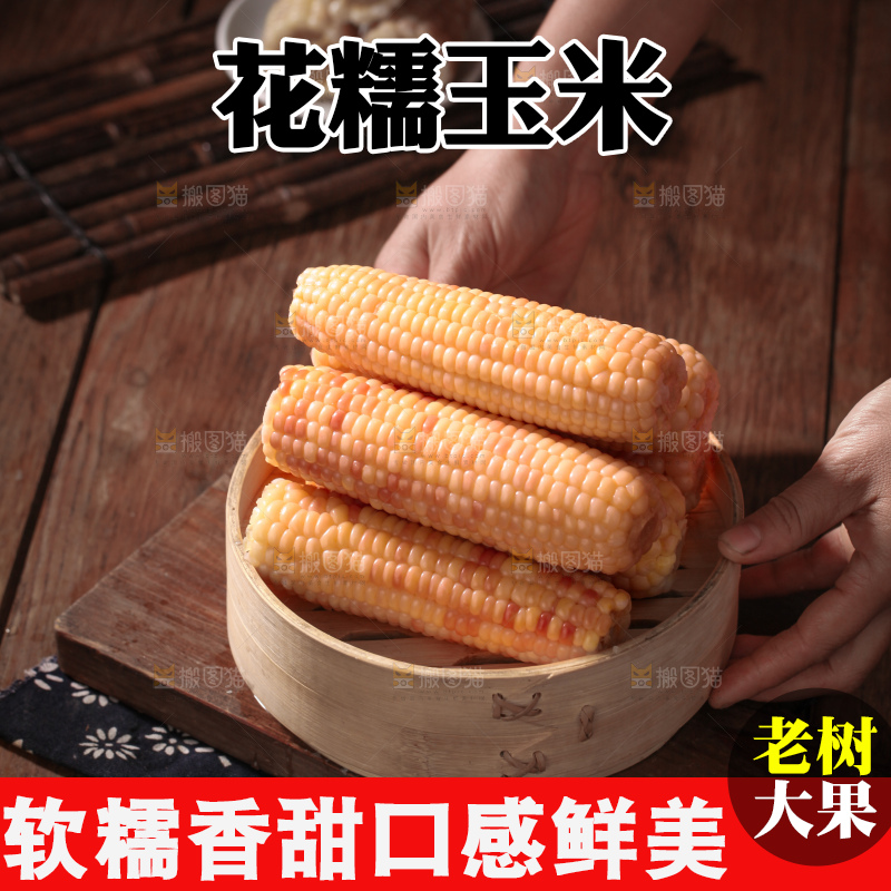 花糯玉米