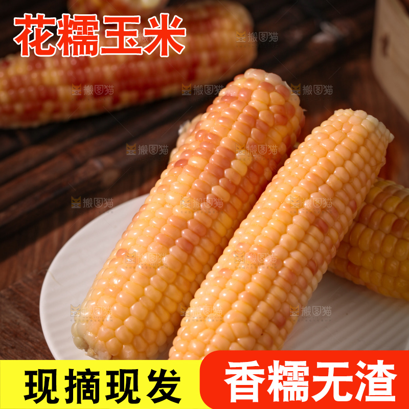 花糯玉米