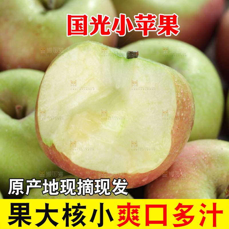 国光苹果