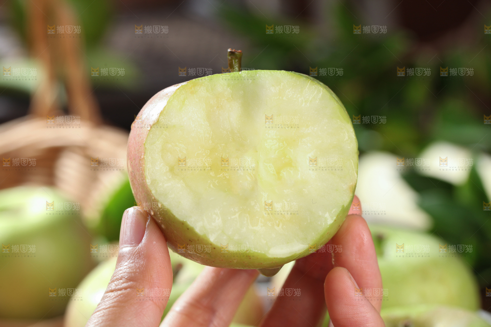国光苹果