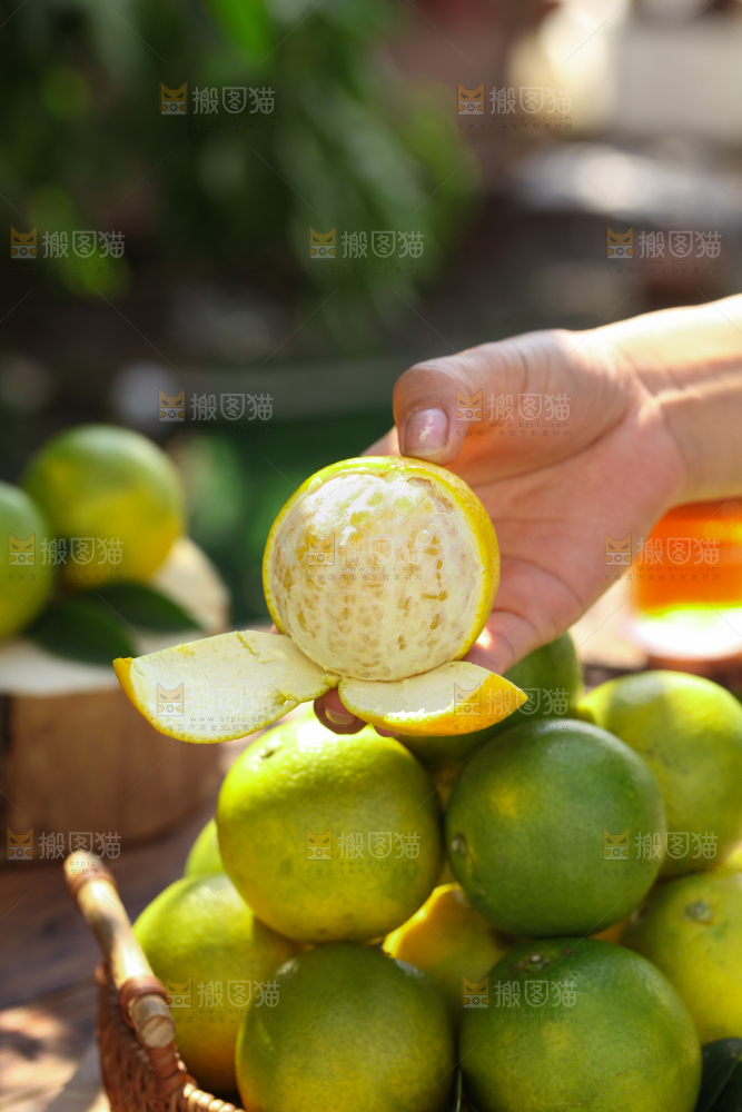 皇帝柑