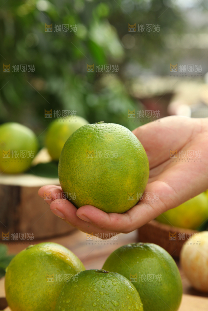 皇帝柑