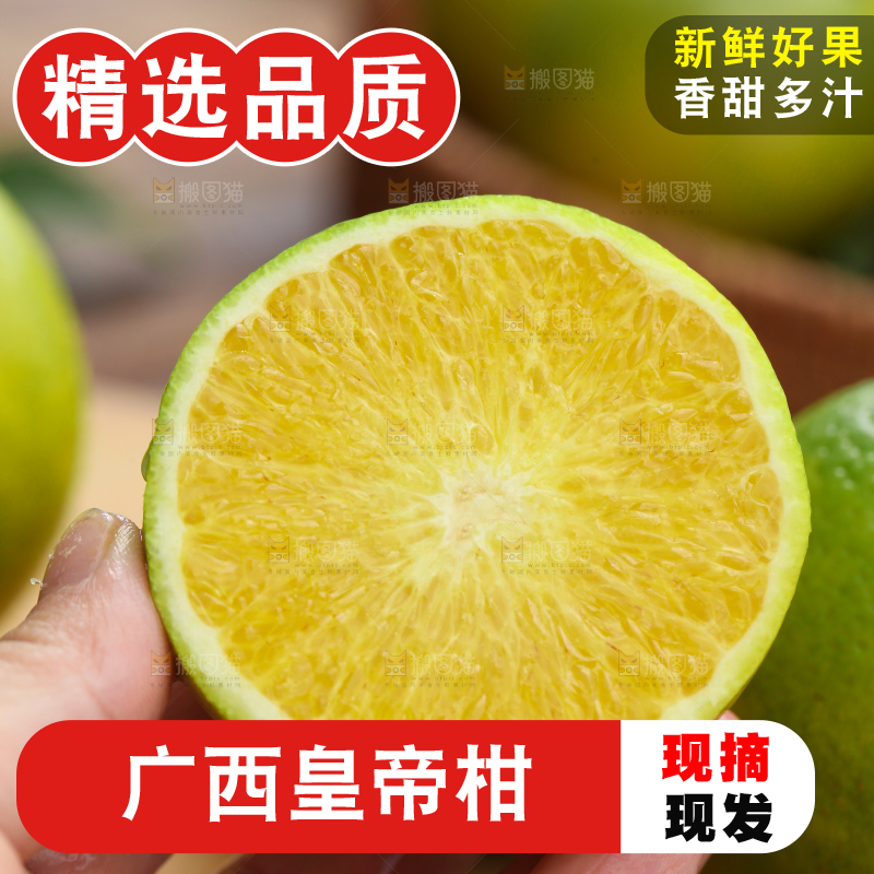 皇帝柑