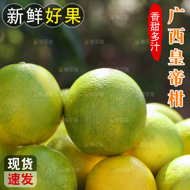 皇帝柑