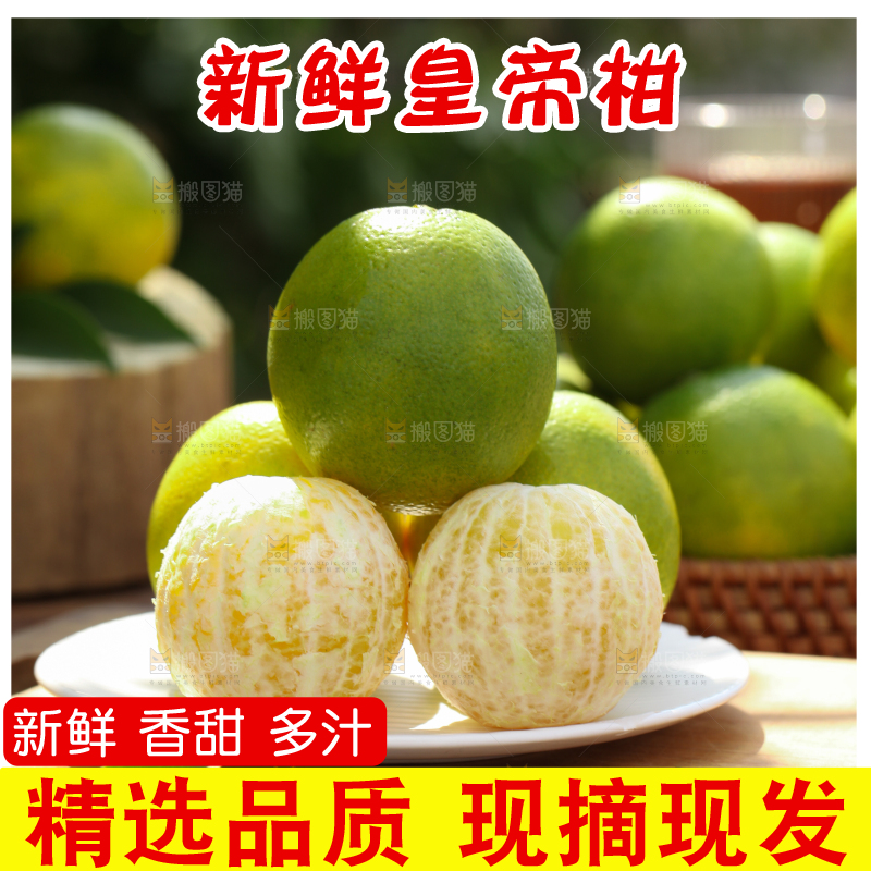 皇帝柑