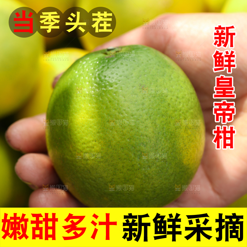 皇帝柑