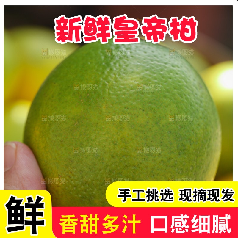 皇帝柑