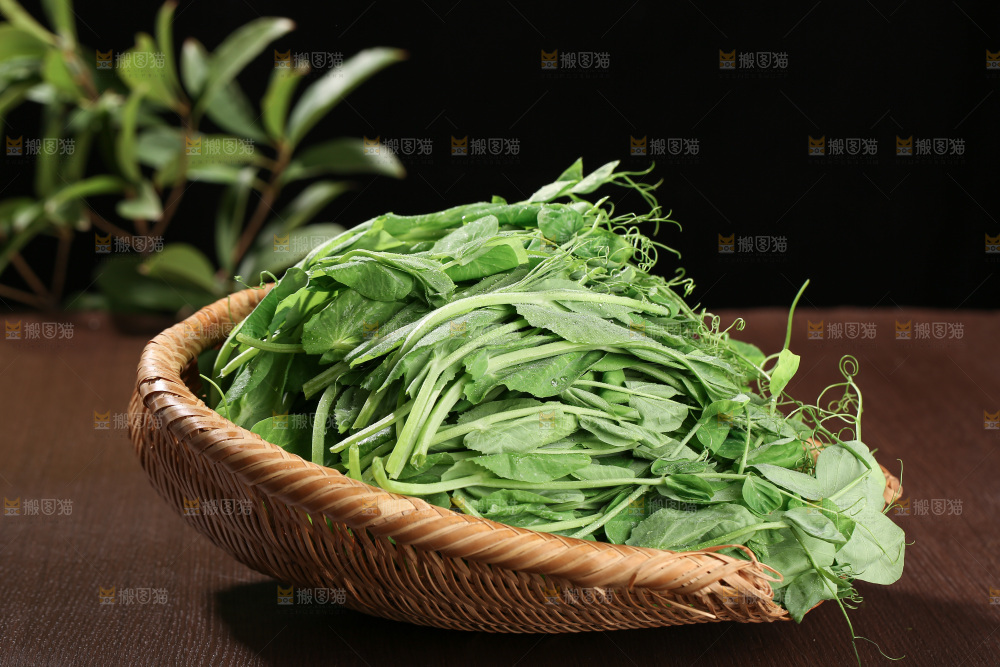 豌豆尖