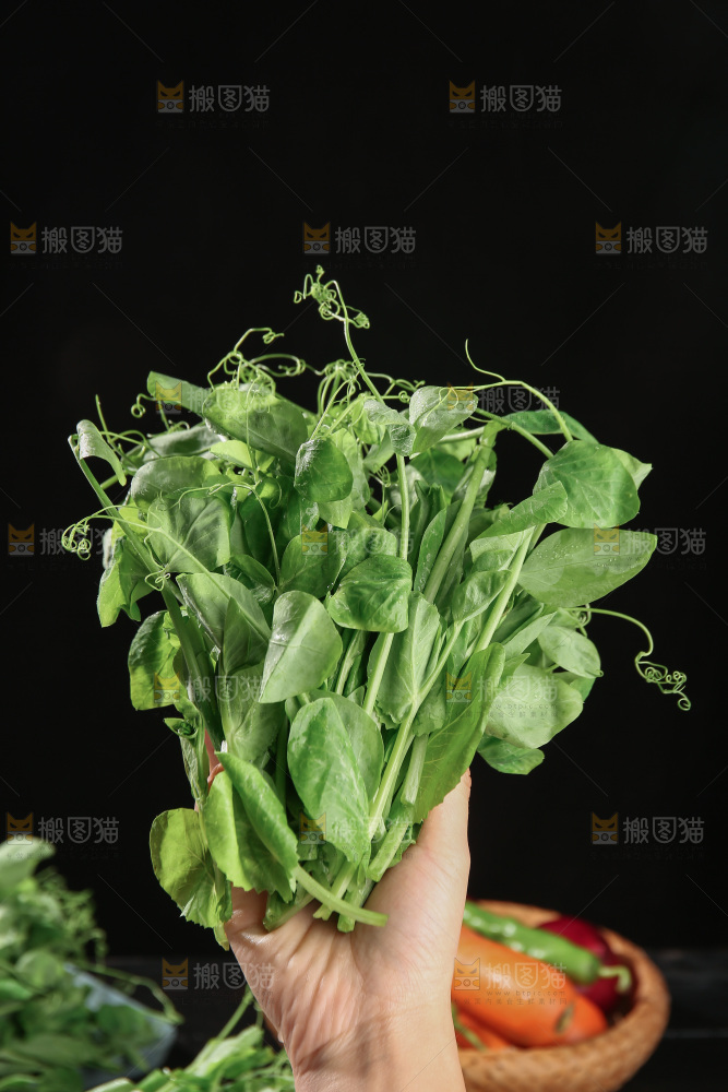 豌豆尖