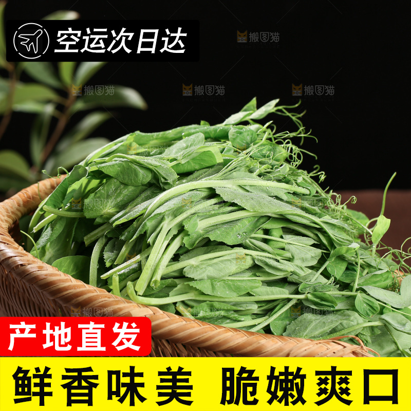 豌豆尖