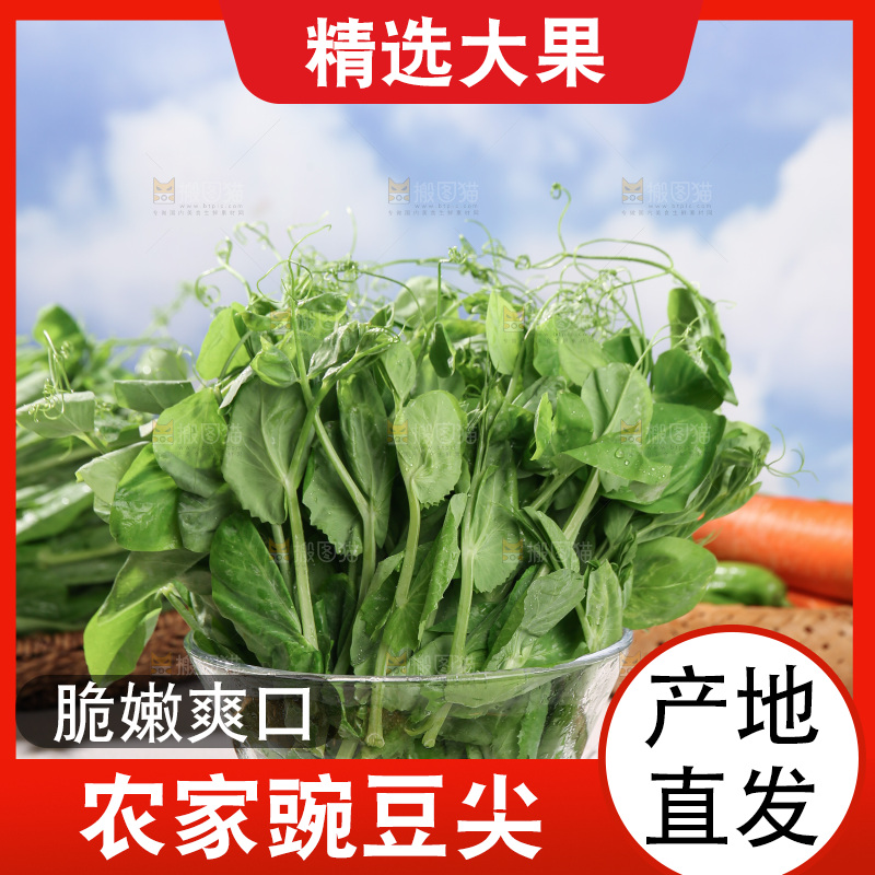 豌豆尖