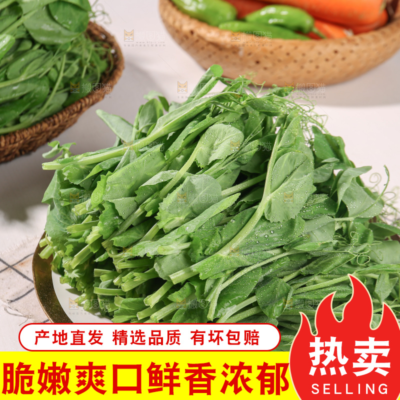 豌豆尖
