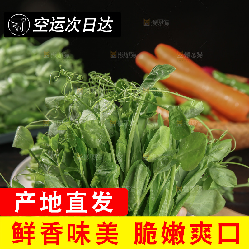 豌豆尖