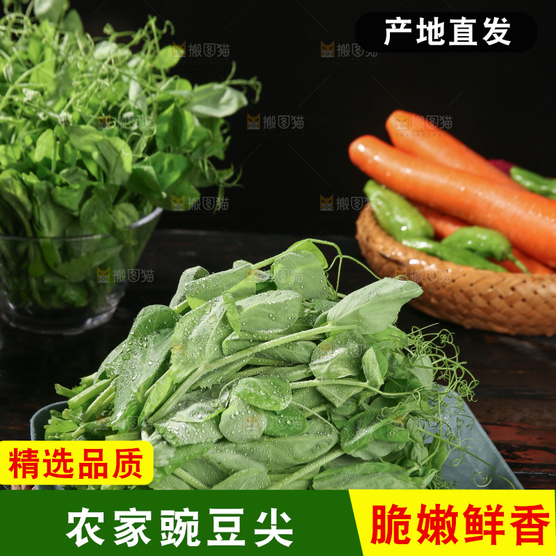 豌豆尖