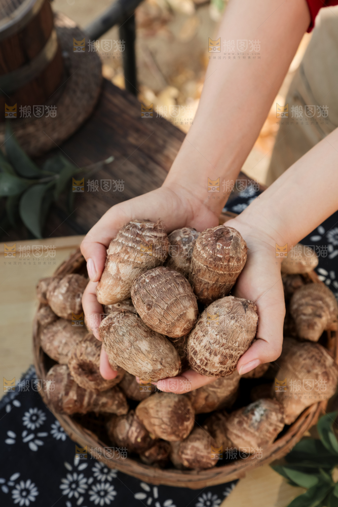 牛奶小芋头