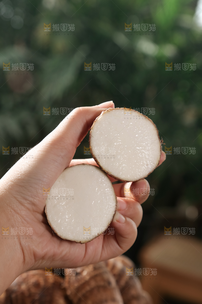 牛奶小芋头