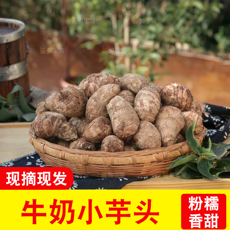 牛奶小芋头