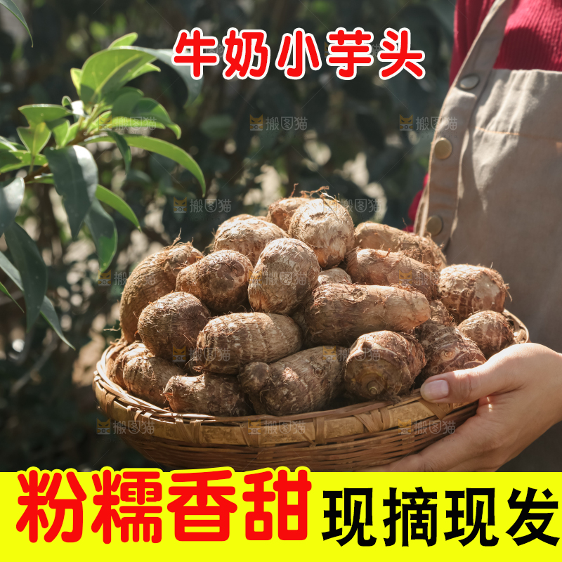牛奶小芋头