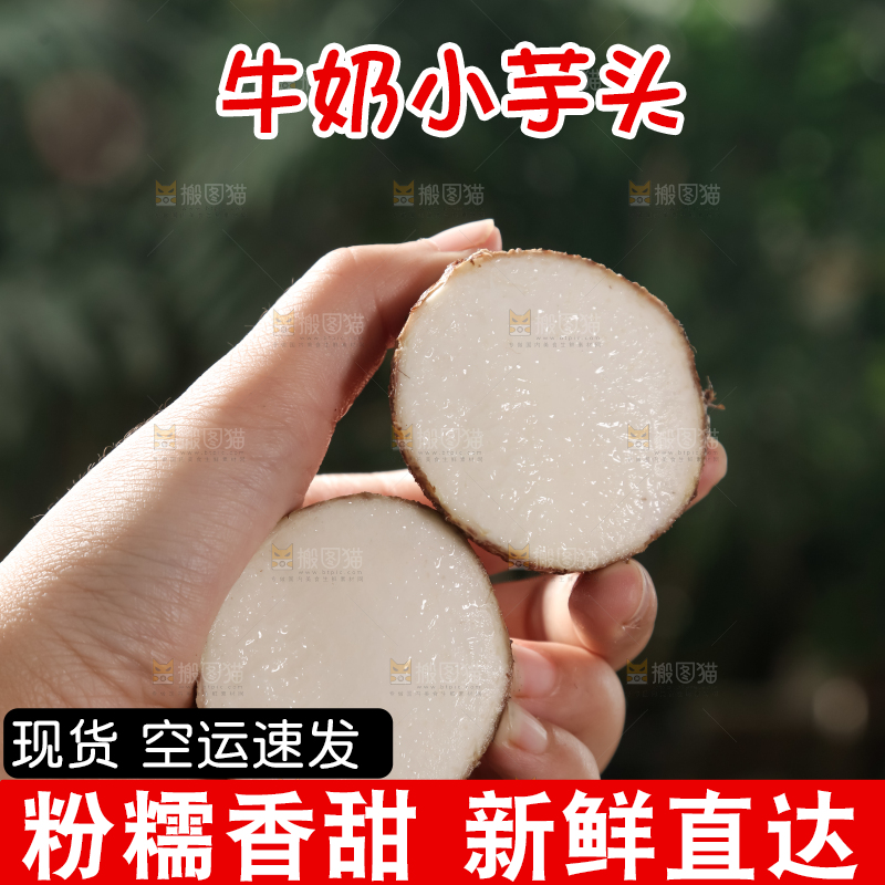 牛奶小芋头