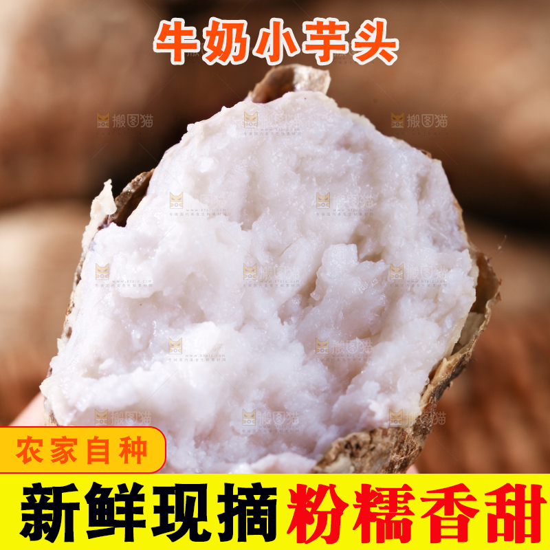 牛奶小芋头