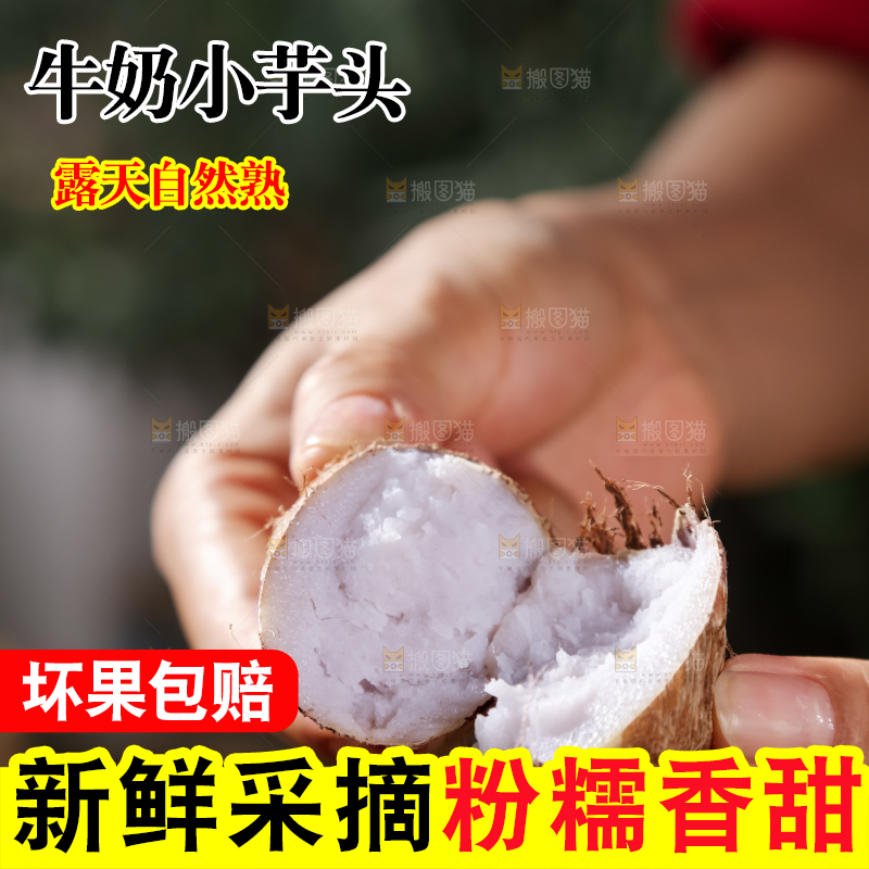 牛奶小芋头