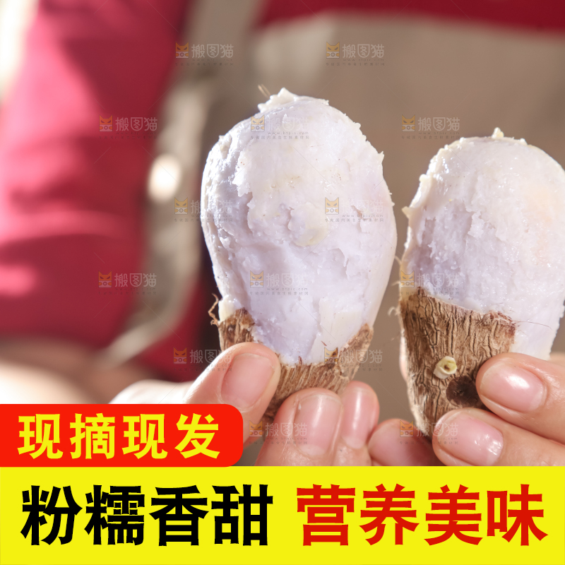 牛奶小芋头