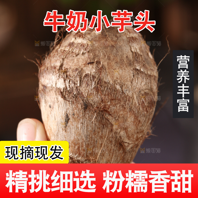 牛奶小芋头