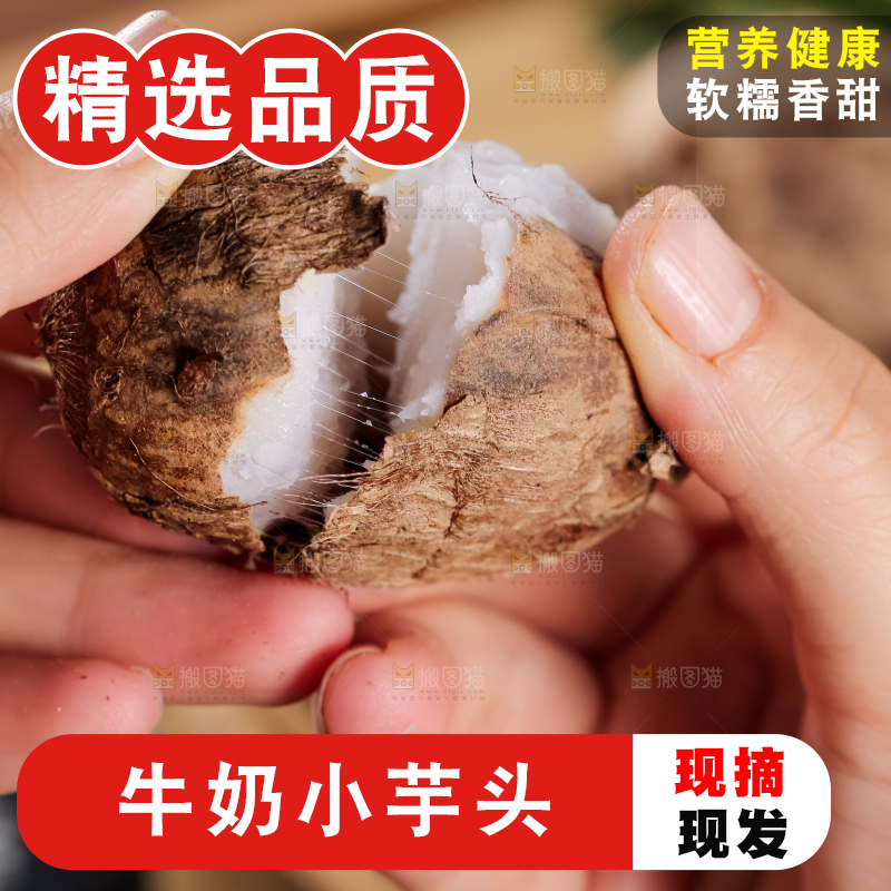 牛奶小芋头