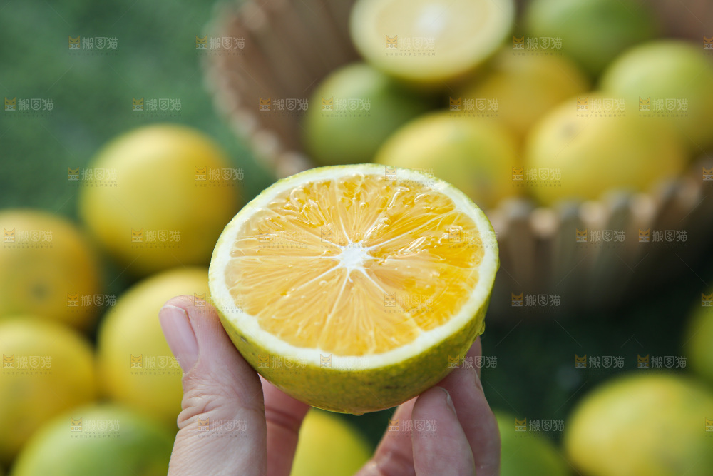 皇帝柑