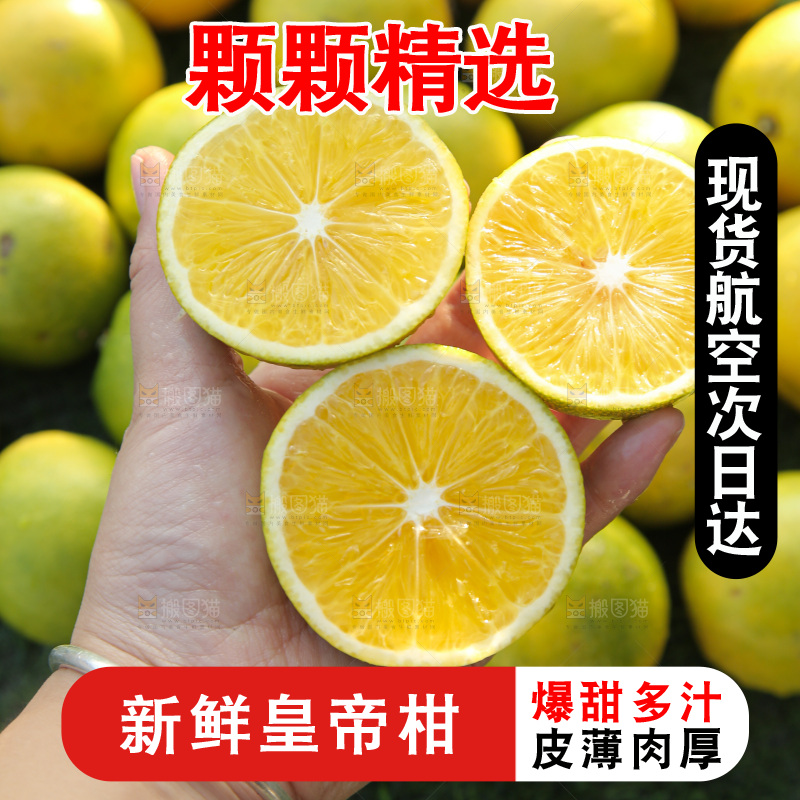 皇帝柑