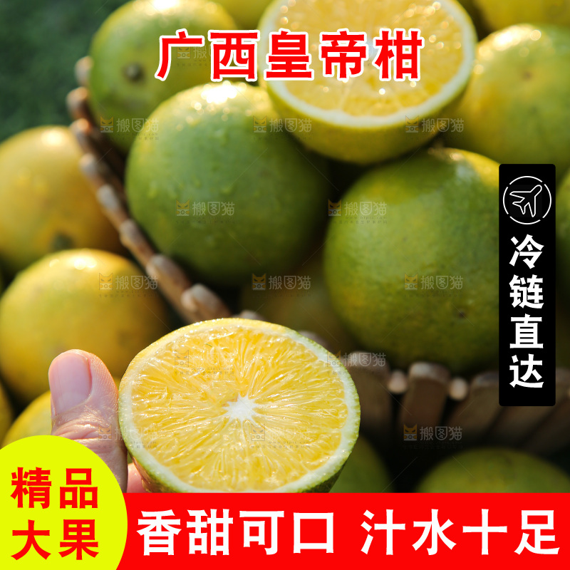 皇帝柑