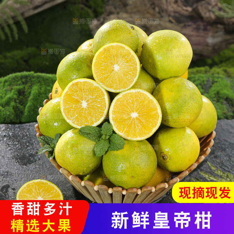 皇帝柑