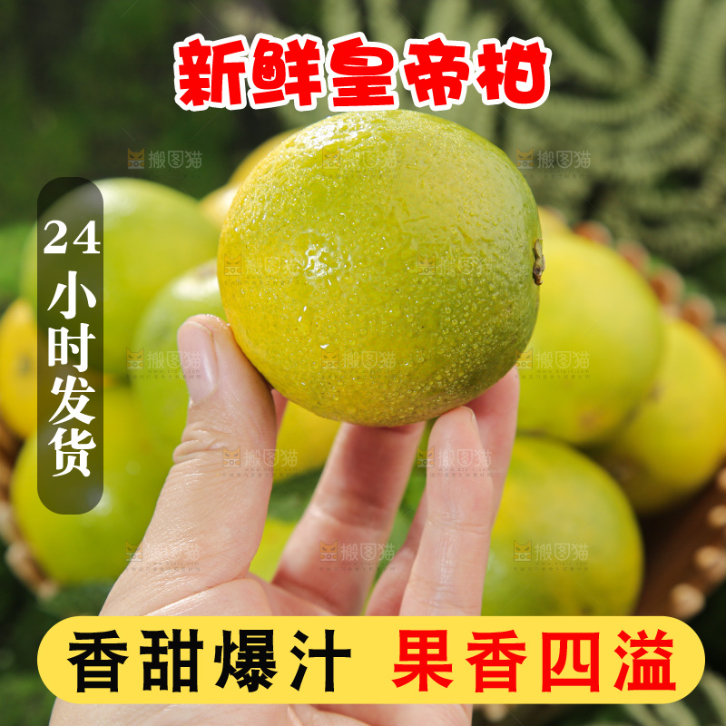 皇帝柑