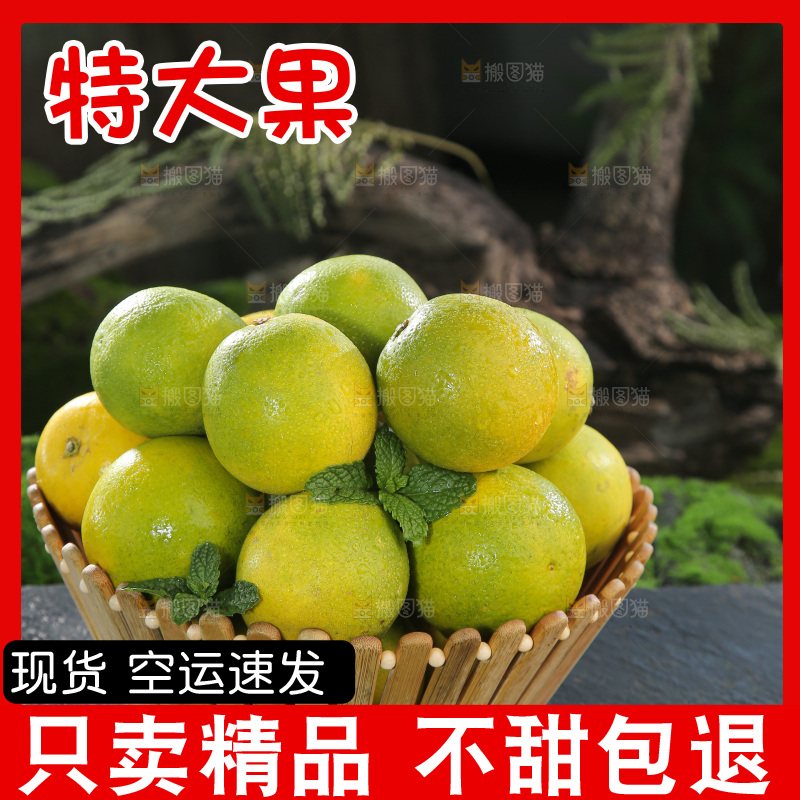 皇帝柑
