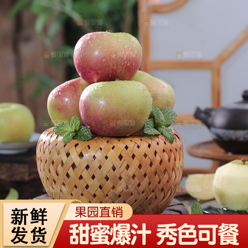 国光苹果