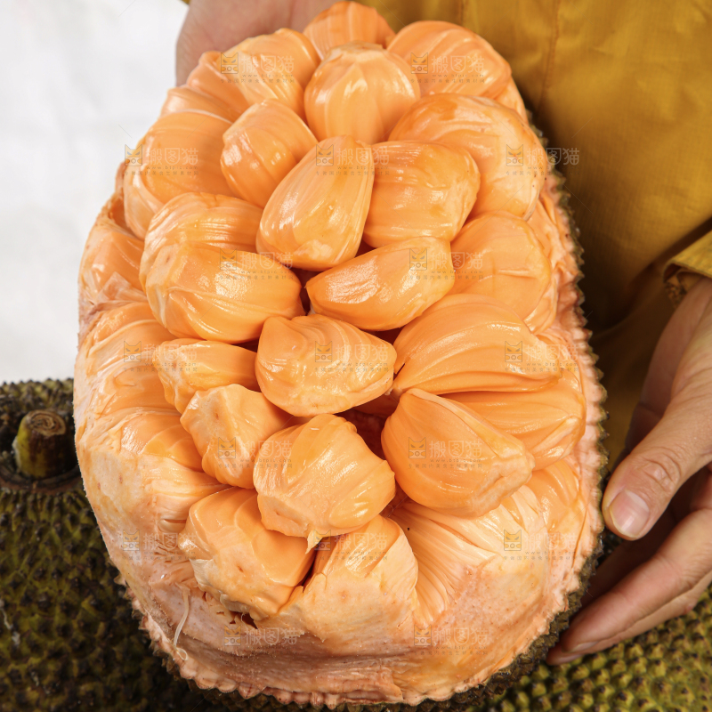 红肉菠萝蜜