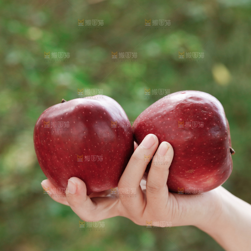 红元帅苹果