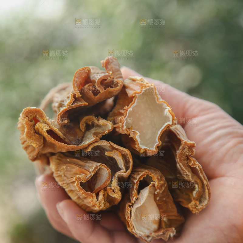 龙笋干