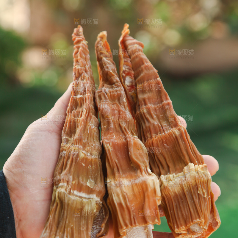 龙笋干