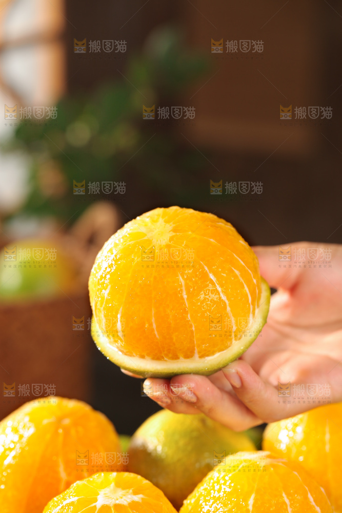 云南冰糖橙