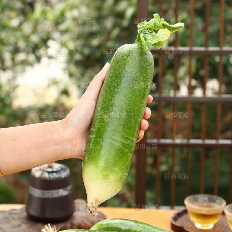 水果萝卜