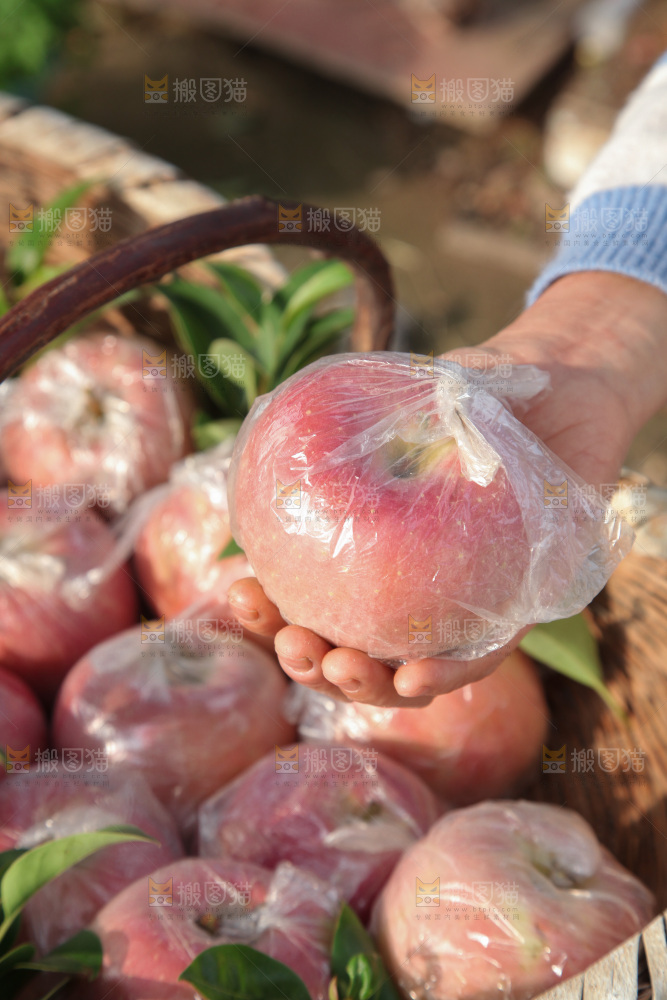膜袋苹果