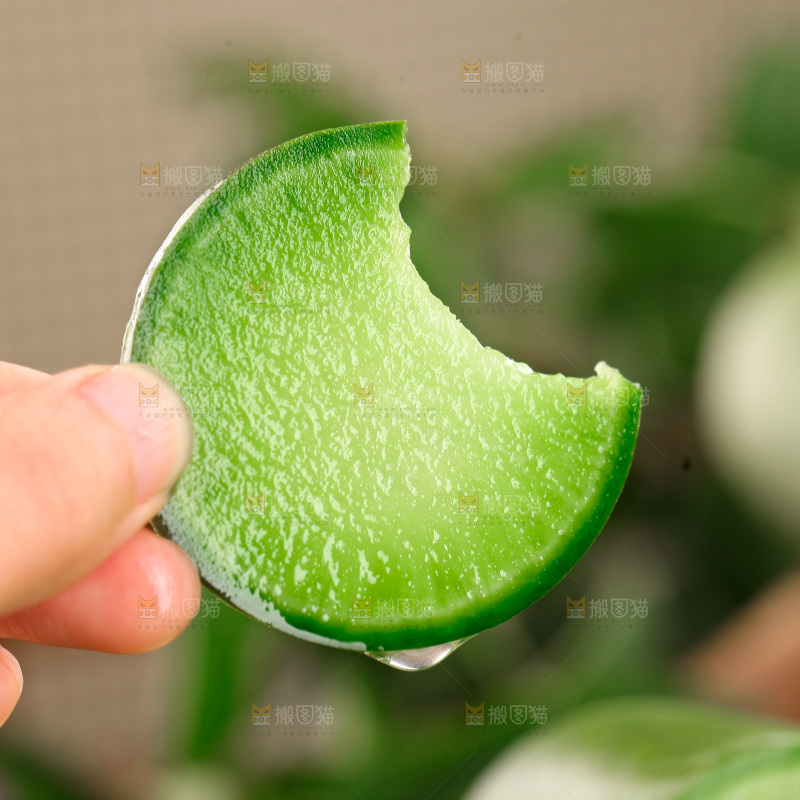 水果萝卜