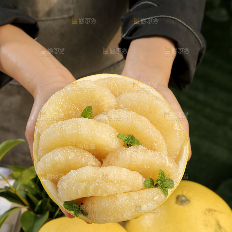 玉环文旦柚