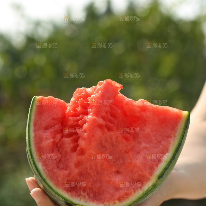手扒皮西瓜