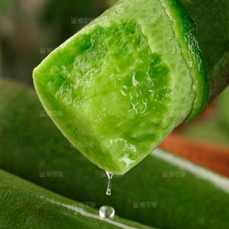 水果萝卜