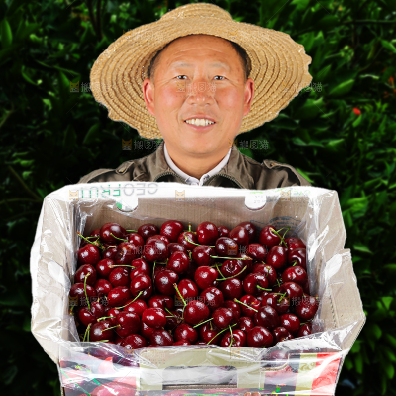 车厘子